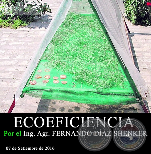 ECOEFICIENCIA - Ing. Agr. FERNANDO DÍAZ SHENKER - 07 de Setiembre de 2016